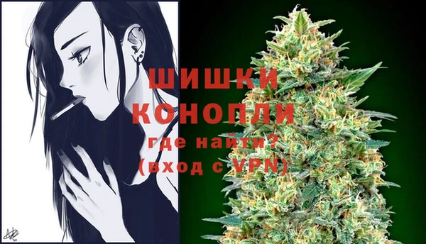 прущие грибы Лиски