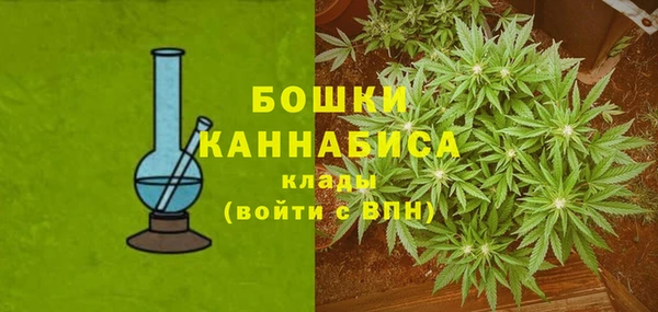 прущие грибы Лиски