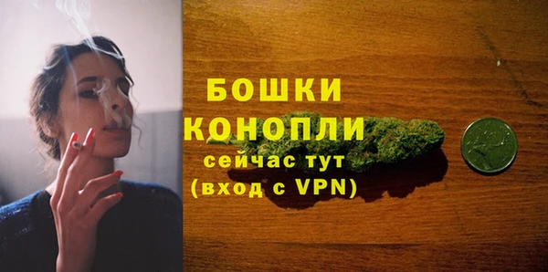 прущие грибы Лиски