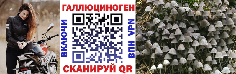 Псилоцибиновые грибы ЛСД  darknet состав  Нерчинск  OMG зеркало 