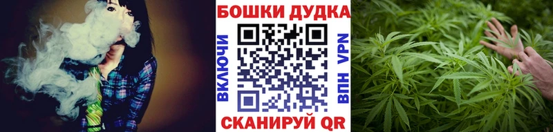 магазин продажи наркотиков  Нерчинск  Конопля тримм 